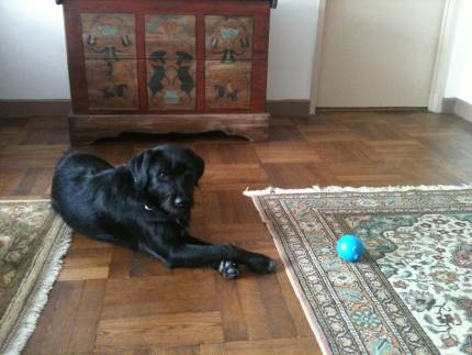 Trudy
